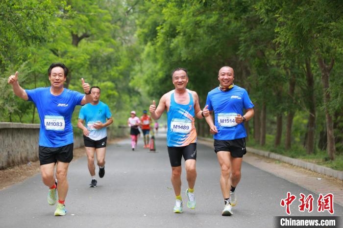 天津宝坻青龙湾森林公园迎来第三届京津冀青龙